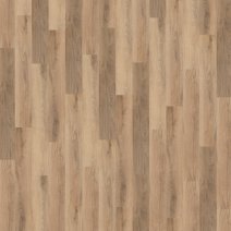 Vivid Oak Nature