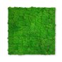 Стінове панно Jangal Modular Wall 11101 Мох насичений зелений