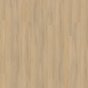 Calm Ash Beige